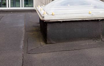 disadvantages of Wasing flat roofs
